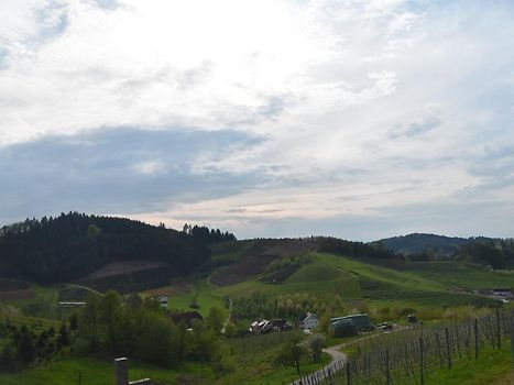 Uitzicht vanaf terras